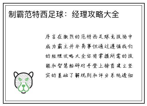 制霸范特西足球：经理攻略大全
